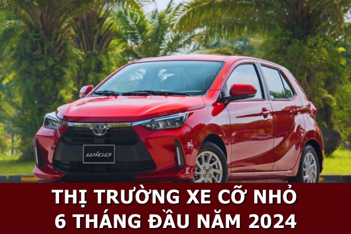 Thị trường xe ô tô cỡ nhỏ tại Việt Nam trong 6 tháng đầu năm 2024